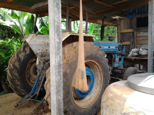 ขาย รถไถ1เพลา FORD 77 T1 สภาพดี ราคาไม่แพง เครื่องดีติดง่าย เกียร์ดีเดินหน้าถอยหลังปกติ ปั้มดี หางดีแขนดี ไม่มีปะระบบไฮฯใช้ได้ปกติ พร้อมอุปกรณ์ 4ชิ้น ใบดัน ผาน3,7 หางโรยขี้ไก่ อุปกรณ์สภาพดี เอกสารเล่มทะเบียน พร้อมใช้ พร้อมลุยงาน (มีคลิปประกอบ)ราคาต่อรองได