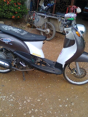 ฟีโน่ปี51          ราคาเบา ๆ