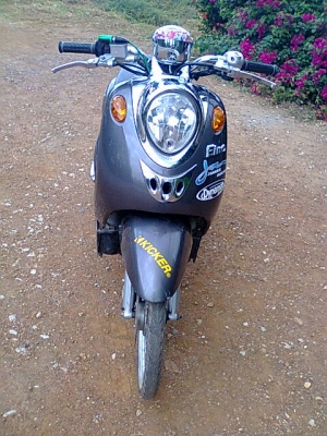 ฟีโน่ปี51          ราคาเบา ๆ