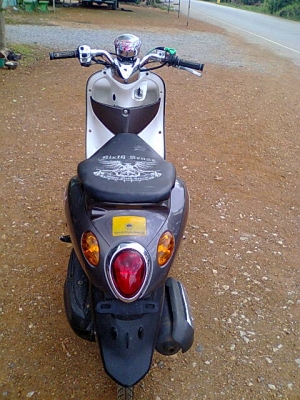 ฟีโน่ปี51          ราคาเบา ๆ