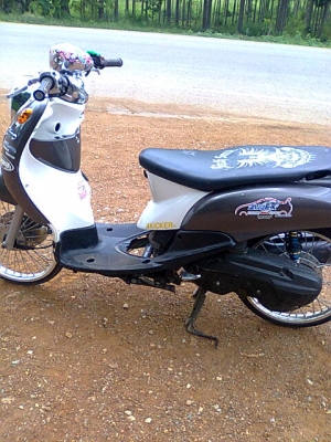 ฟีโน่ปี51          ราคาเบา ๆ