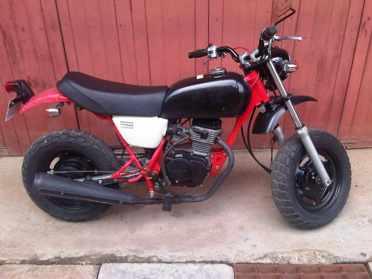 ขาย HONDA APE50 ถูกชิบหายเลยครับ