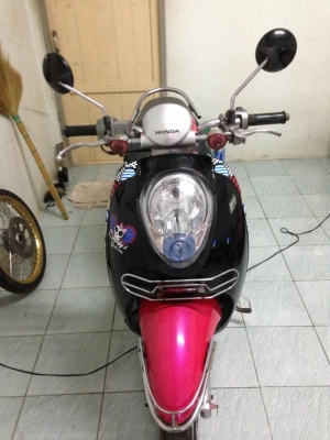 ขายสกูปปี้ ปี54