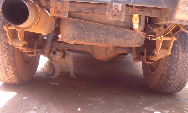 ขาย จี๊บซูซูกิ คาริเบียน 4x4 มือสอง +คู่มือพร้อมโอน+ภาษีไม่ขาด ขาย จี๊บซูซูกิ คาริเบียน 4x4 มือสอง +คู่มือพร้อมโอน+ภาษีไม่ขาด