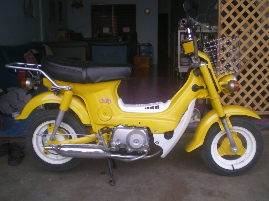 ขายชาลีเดิมๆสวยๆ