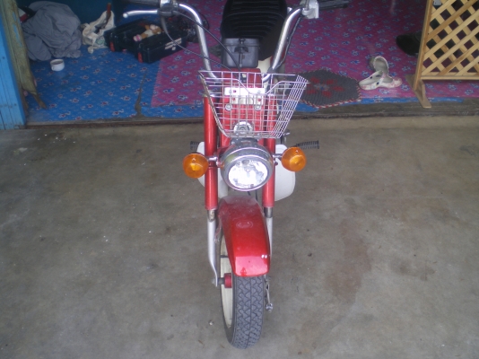 ขายชาลีเดิมๆสวยๆ