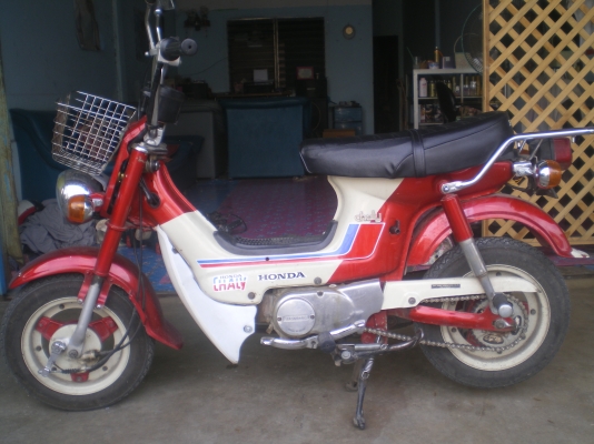 ขายชาลีเดิมๆสวยๆ