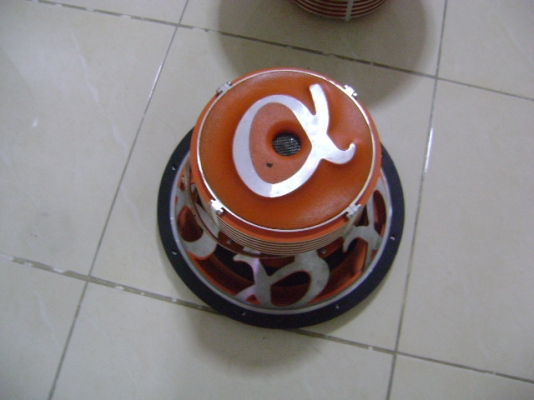 ดอกโม12นิ้ว วอ้ยซ์คู่สภาพดีพร้อมใช้งานครับ