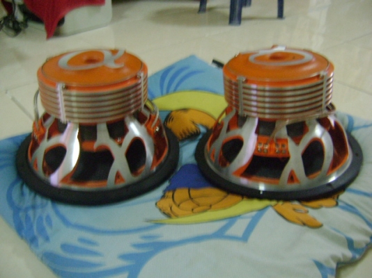 ดอกโม12นิ้ว วอ้ยซ์คู่สภาพดีพร้อมใช้งานครับ