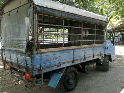 ISUZU NPR59 รถห้าง ปี 33 เครื่อง4BD 115 แรง ซัซซี่สวย 460,000