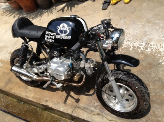 ขายกอลิล่า ลดราคาสุดๆจาก24000 เหลือ 20000 เลย