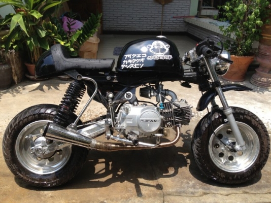 ขายกอลิล่า ลดราคาสุดๆจาก24000 เหลือ 20000 เลย