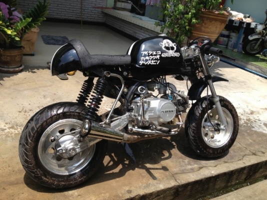 ขายกอลิล่า ลดราคาสุดๆจาก24000 เหลือ 20000 เลย