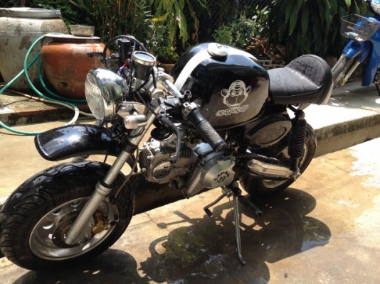 ขายกอลิล่า ลดราคาสุดๆจาก24000 เหลือ 20000 เลย