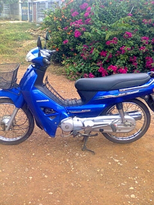 ดรีม125ปี52เดิม