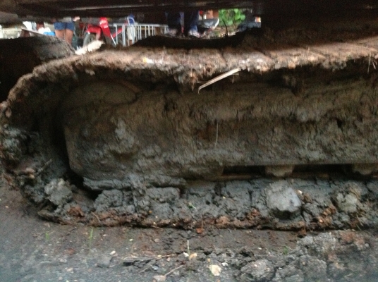 ขายแบคโคex100-2