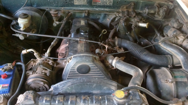 ขายไมตี้เอ็ก 2500