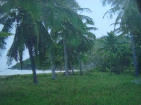 ขออนุญาตขายที่ดิน อ.หัวหิน ประจวบคีรีขันธ์ ที่ติดทะเล 4 ไร่ 2 งาน