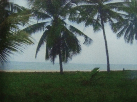 ขออนุญาตขายที่ดิน อ.หัวหิน ประจวบคีรีขันธ์ ที่ติดทะเล 4 ไร่ 2 งาน