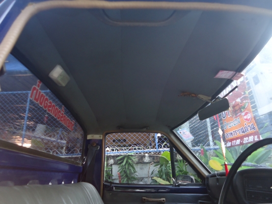 ขายช้าง 4 ขอ งามคับ เครื่องเดิม ทะเบียนเต็ม