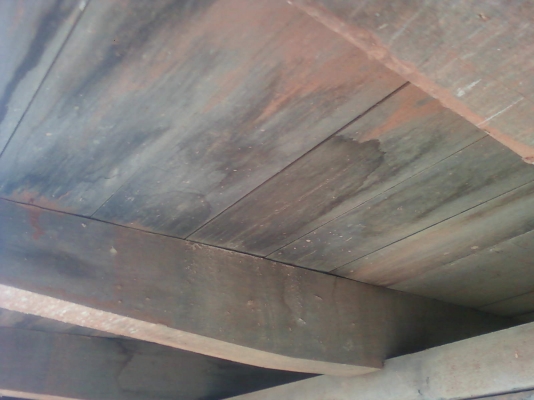 ขาย ISUZU ROCKY 165 แรงสวยๆ รถห้างแท้