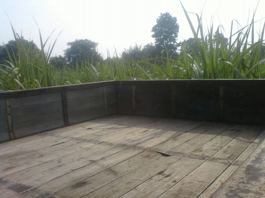 ขายกะบะรถ6ล้อ ยาว5เมตร กว้าง 2 เมตร7