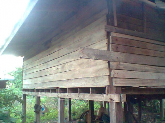 ขายด่วน