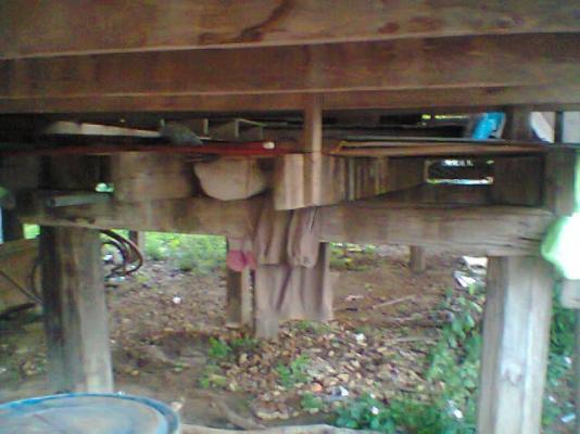 ขายด่วน