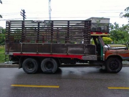 อีซูซุ 10 ล้อ หน้ายาว เพลาเดียว ไม่ดั้ม