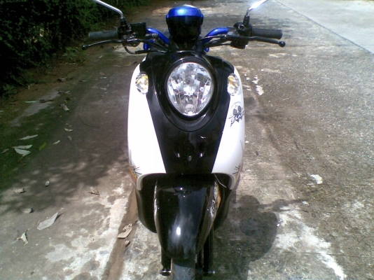 ขาย Fino ปี 53