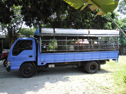 ขาย 6 ล้อ NPR 130 เทอร์โบ 5 เมตร ปี 47 สวยๆ ออกห้าง ขาย 6 ล้อ NPR 130 เทอร์โบ 5 เมตร ปี 47 สวยๆ ออกห้าง