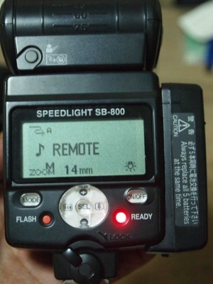 flash nikon SB800