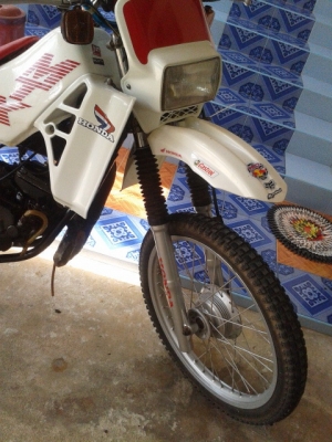 ขาย mtx 125
