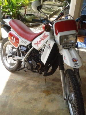 ขาย mtx 125
