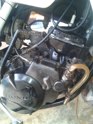 ขาย mtx 125