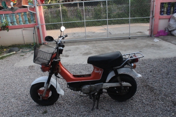 ชาลีสภาพสวยๆราคาถูกๆขาย9800บาท