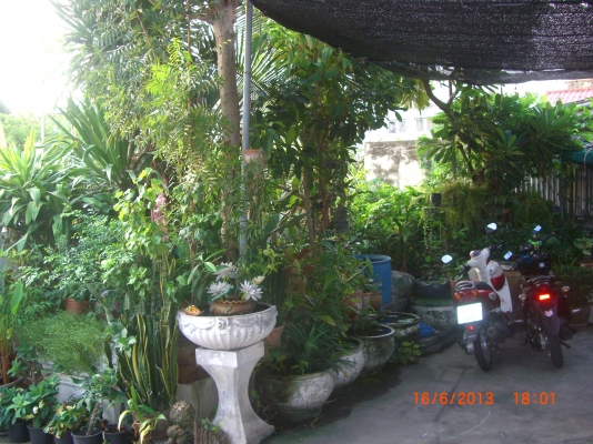 ขายบ้านชั้นเดียว พร้อมที่ดิน 100 ตารางวา ห่างจาก กทม 136 กม ขายบ้านชั้นเดียว พร้อมที่ดิน 100 ตารางวา ห่างจาก กทม 136 กม