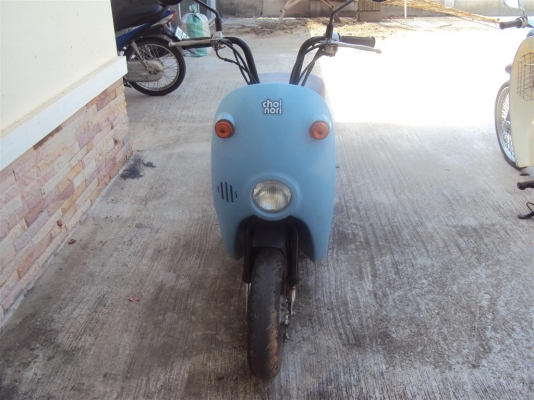 ขายchoei nori ขายchoei nori