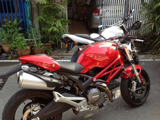 คู่หู2สายพันธุ์ ดุทั้งคู่ คู่หู2สายพันธุ์ ดุทั้งคู่