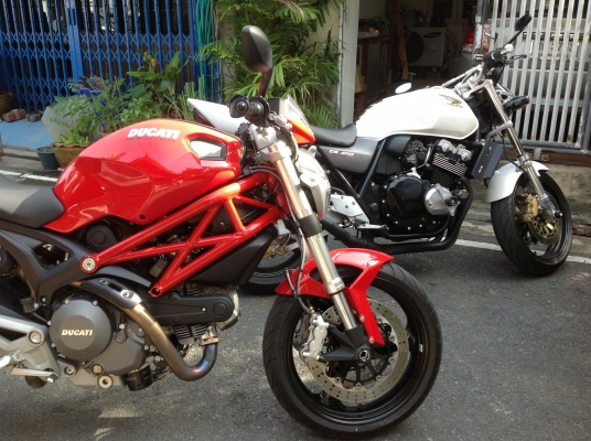 คู่หู2สายพันธุ์ ดุทั้งคู่ คู่หู2สายพันธุ์ ดุทั้งคู่