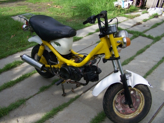 ขายชิ๊ปปี้ ขายชิ๊ปปี้