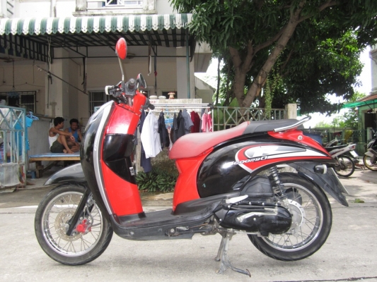 ยังไงก็ขาย สกูปี้ไอ ปี52เครื่องดีเดิมๆ ชุดโอนครบ