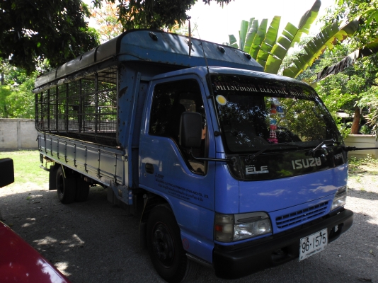 ขาย 6 ล้อ NPR 130 เทอร์โบ 5 เมตร ปี 47 สวยๆ ออกห้าง ขาย 6 ล้อ NPR 130 เทอร์โบ 5 เมตร ปี 47 สวยๆ ออกห้าง