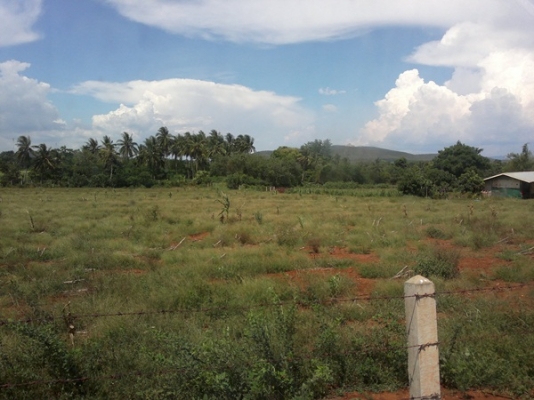 ขายที่ดิน เขตปากช่อง