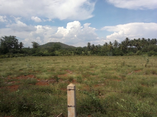 ขายที่ดิน เขตปากช่อง