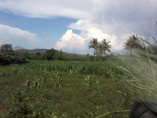 ขายที่ดิน เขตปากช่อง