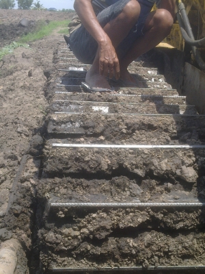 ขายรถแทรกเตอร์ D4D ฝาบาง สภาพดีเจ้าของขายเอง ขายรถแทรกเตอร์ D4D ฝาบาง สภาพดีเจ้าของขายเอง