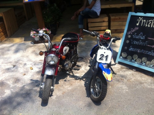 ขายมั่งกี้ยี่ปุ่นและวิบากเล็ก