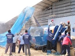 ขายด่วน ตู้นวดข้าว รุ่นจัมโบ้5500 ไทยเส็งยนต์ การเกษตร ขายด่วน ตู้นวดข้าว รุ่นจัมโบ้5500 ไทยเส็งยนต์ การเกษตร