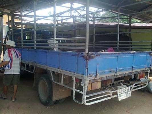 ต้องการขาย / รถ 6 ล้อ ISUZU 115